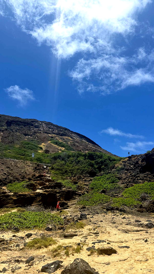 julia.filippo image ~ Altpins