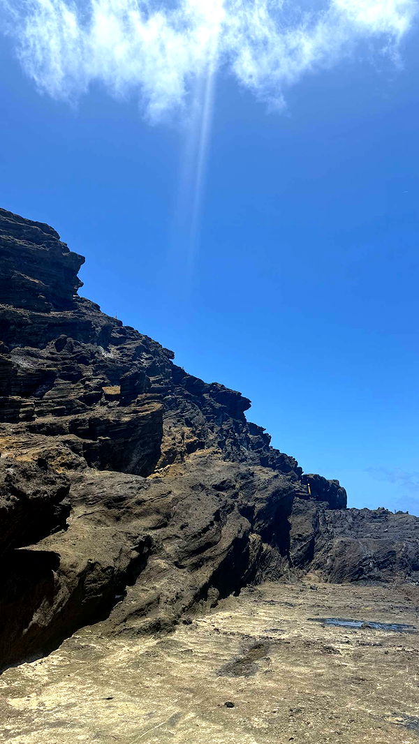 julia.filippo image ~ Altpins