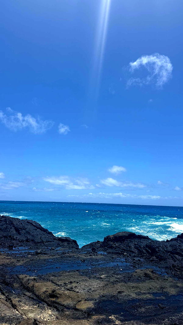 julia.filippo image ~ Altpins