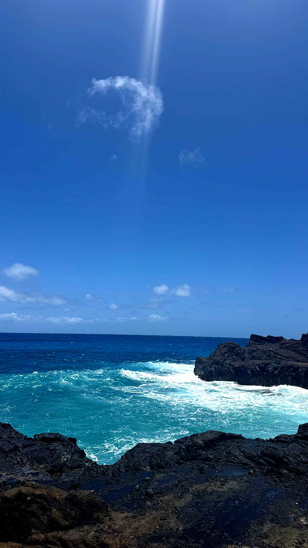 julia.filippo image ~ Altpins