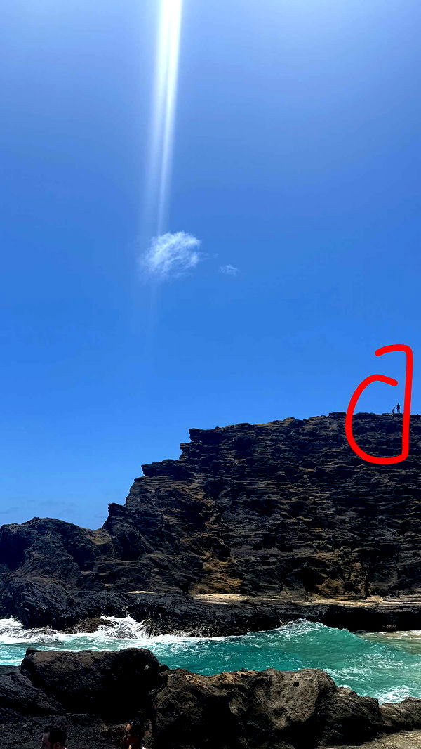 julia.filippo image ~ Altpins