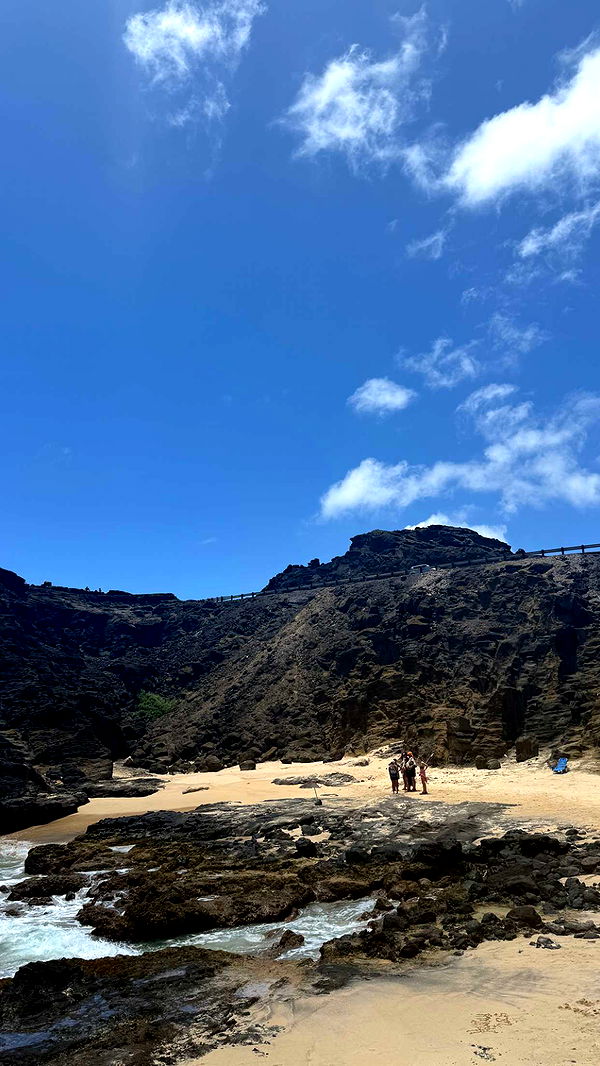 julia.filippo image ~ Altpins