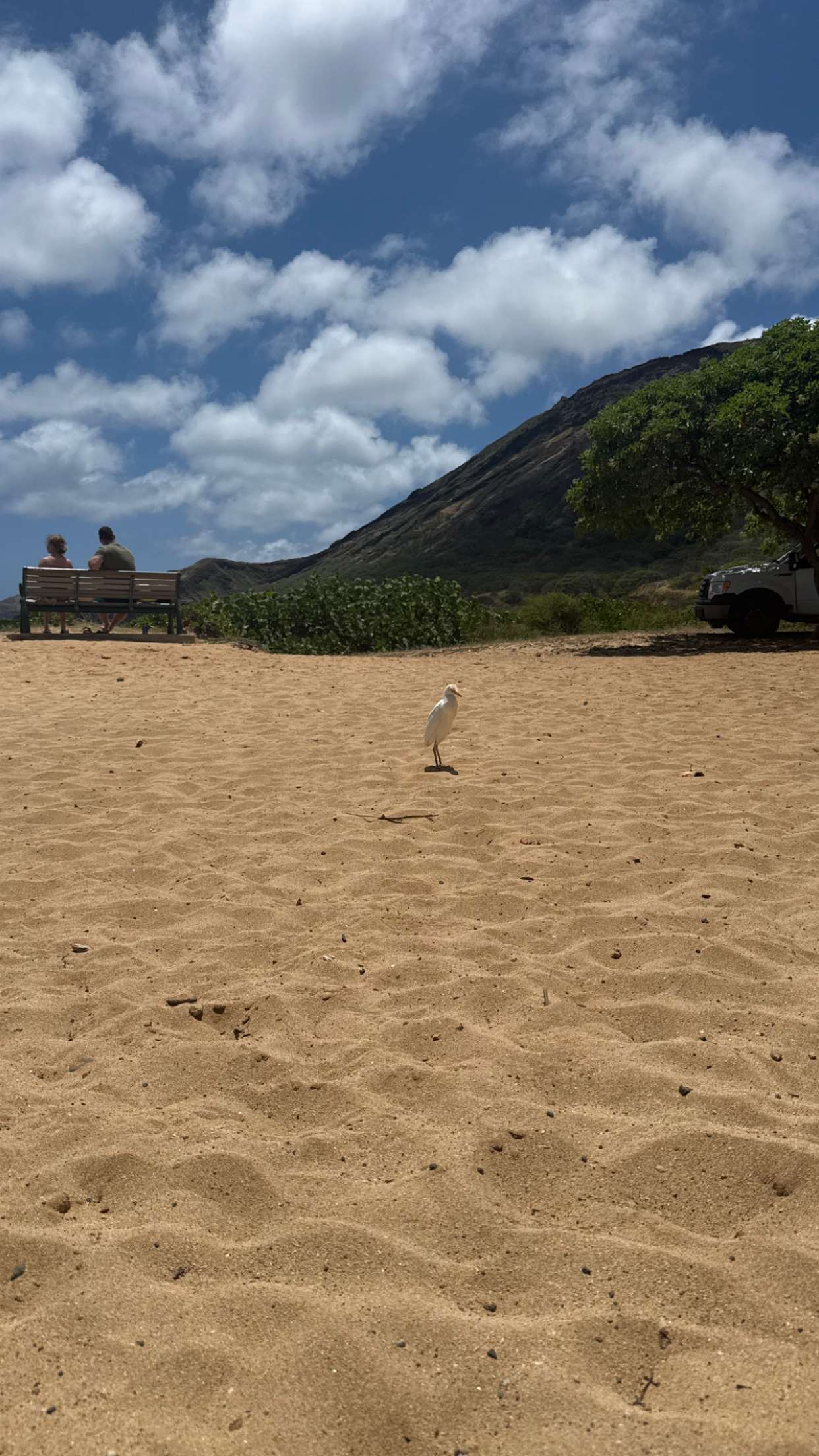 julia.filippo snapchat image archive image