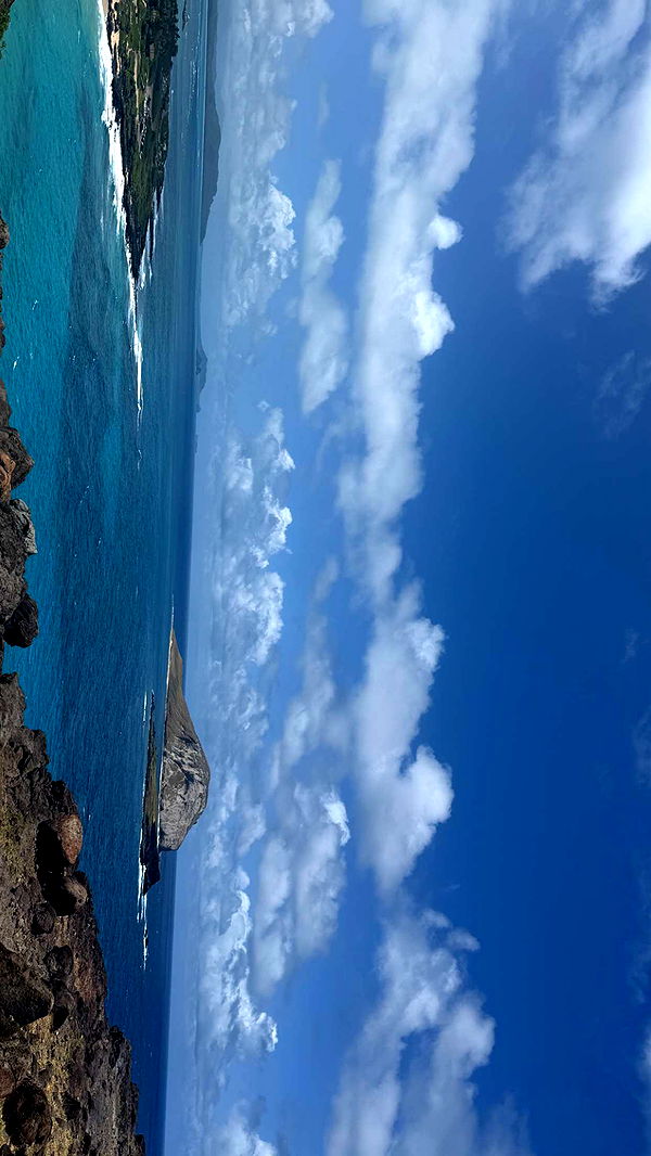 julia.filippo image ~ Altpins