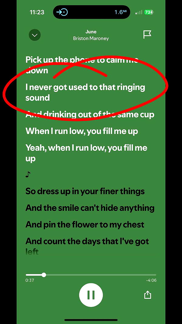 julia.filippo image ~ Altpins