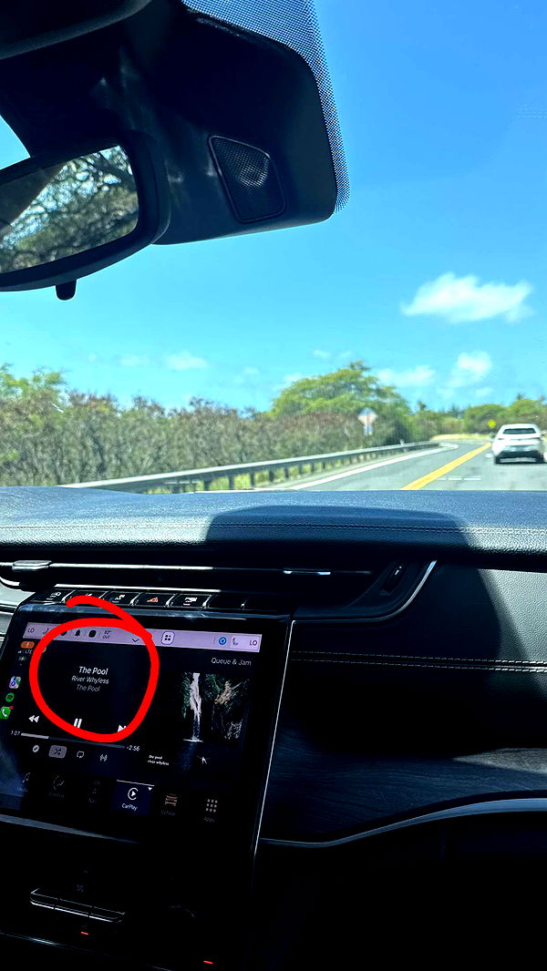 julia.filippo image ~ Altpins