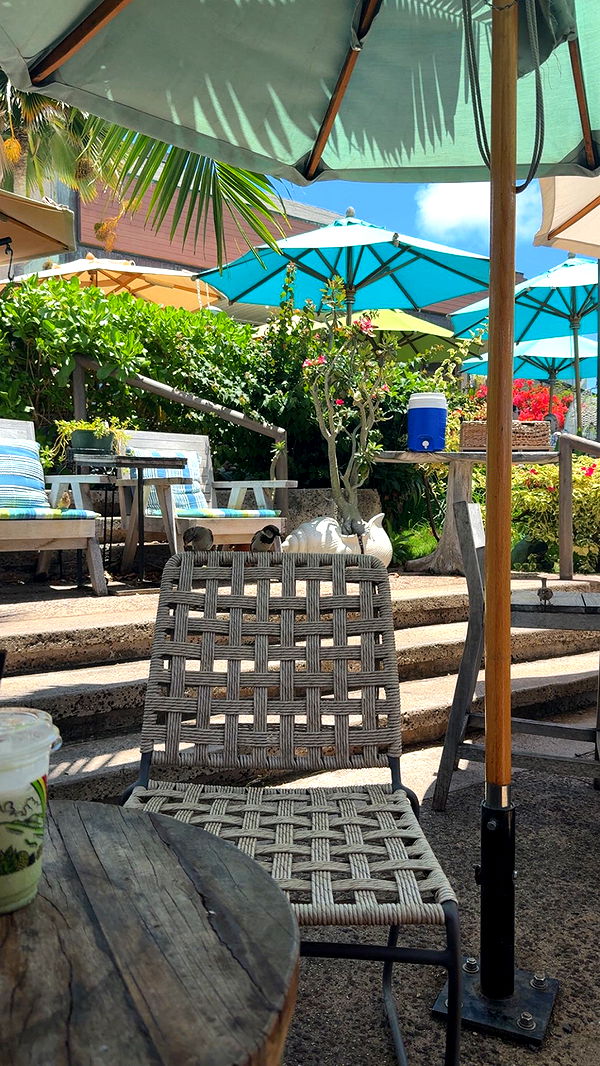 julia.filippo image ~ Altpins