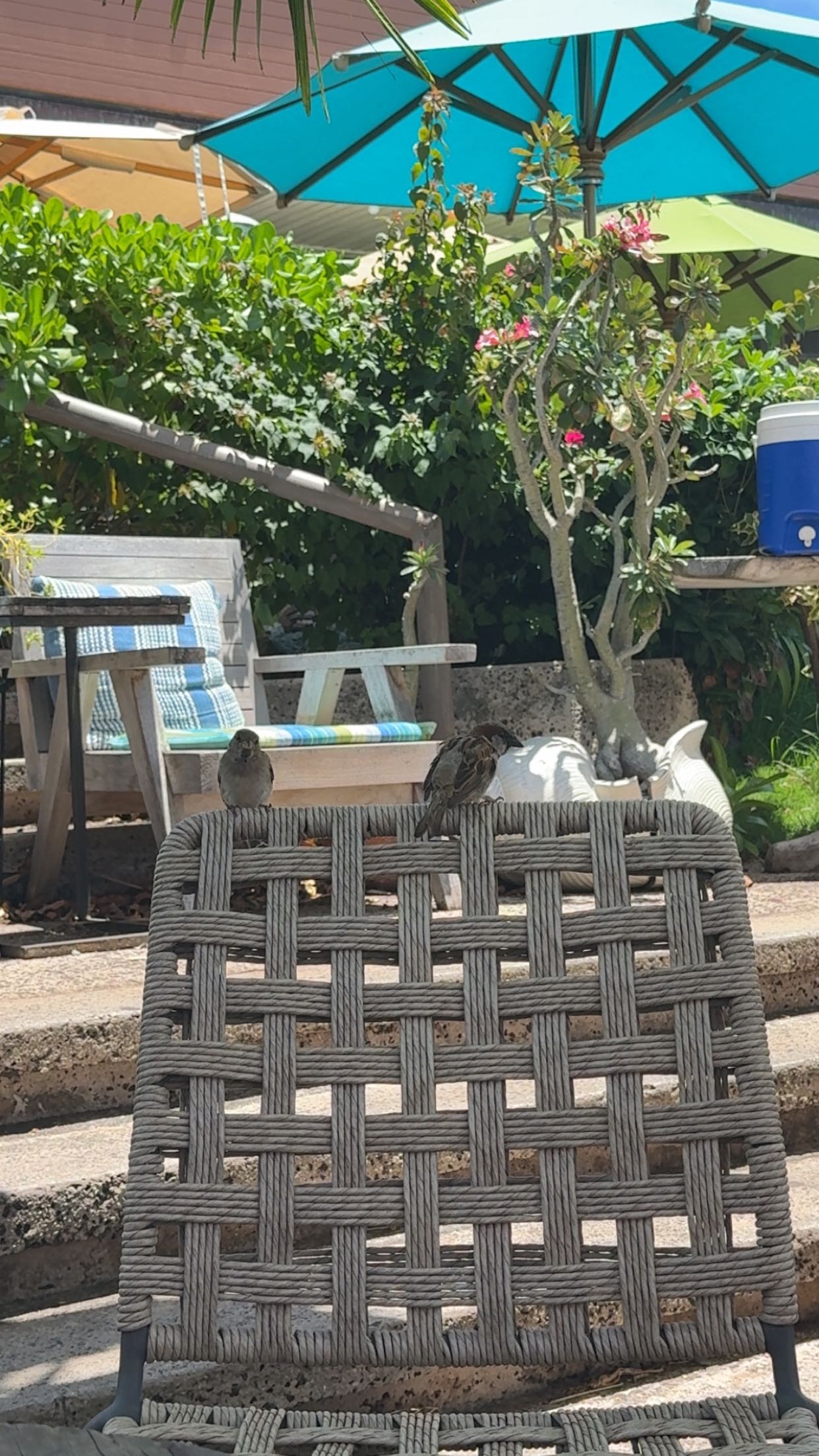 julia.filippo snapchat image archive image