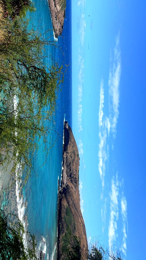 julia.filippo image ~ Altpins