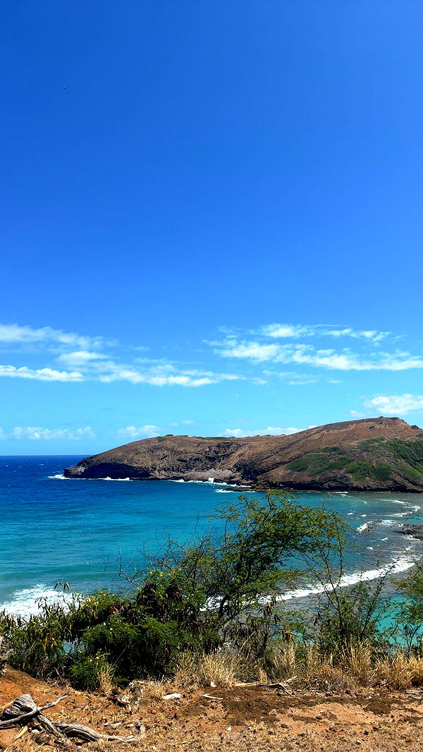 julia.filippo image ~ Altpins