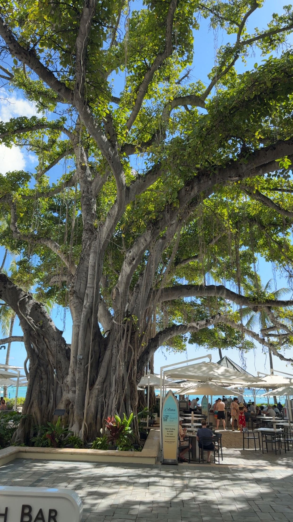 julia.filippo snapchat image archive image