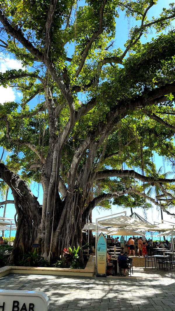 julia.filippo image ~ Altpins