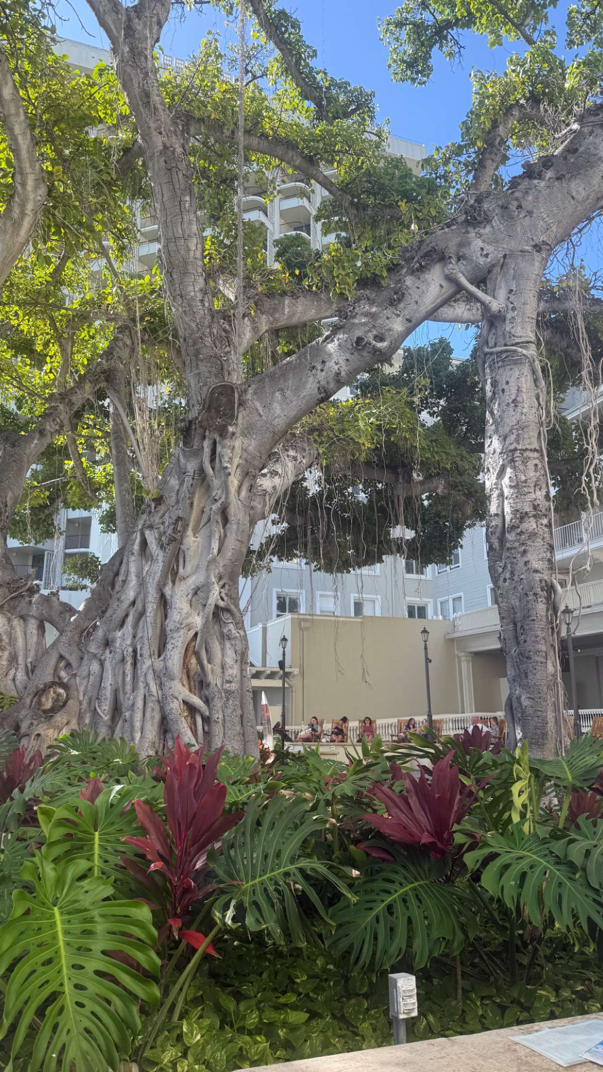 julia.filippo snapchat image archive image