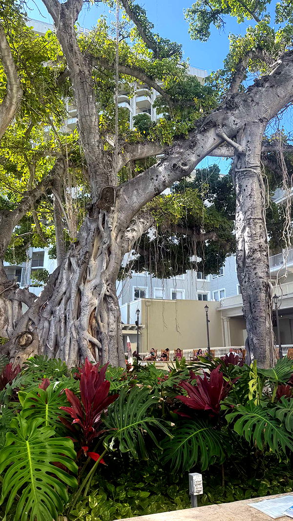 julia.filippo image ~ Altpins