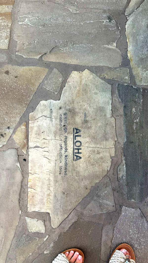 julia.filippo image ~ Altpins