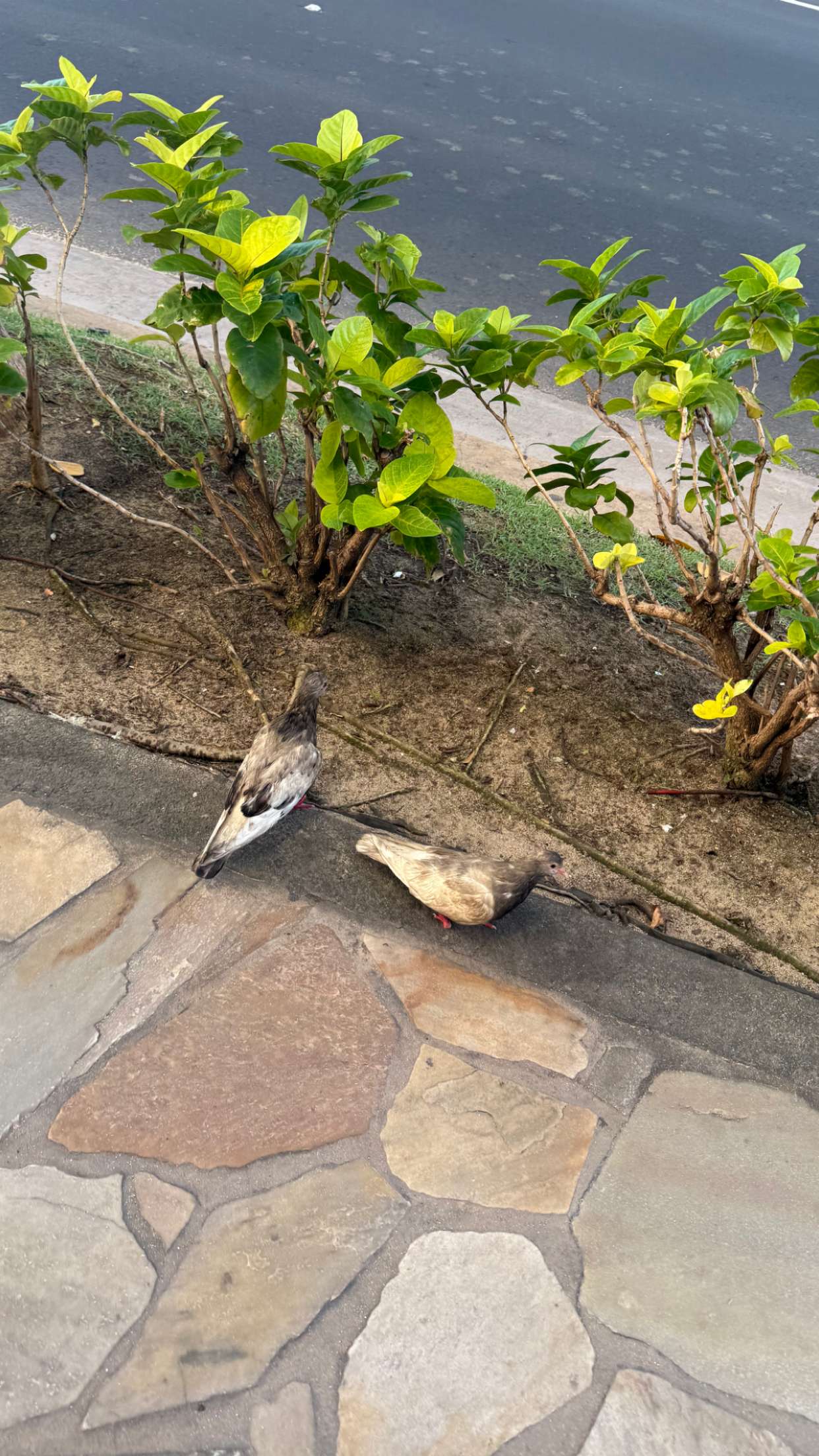 julia.filippo snapchat image archive image