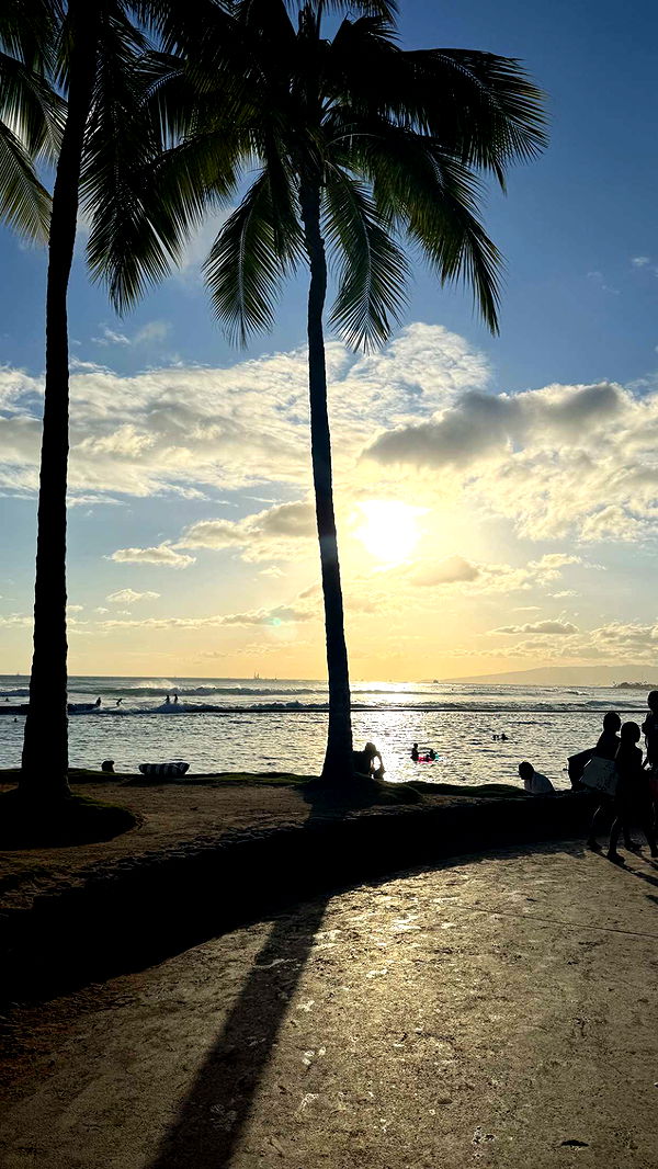 julia.filippo image ~ Altpins