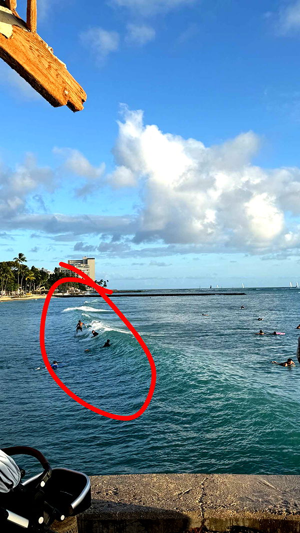 julia.filippo image ~ Altpins