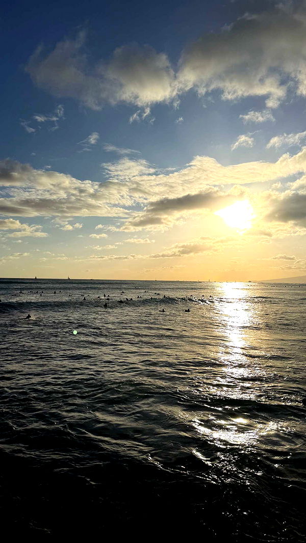 julia.filippo image ~ Altpins