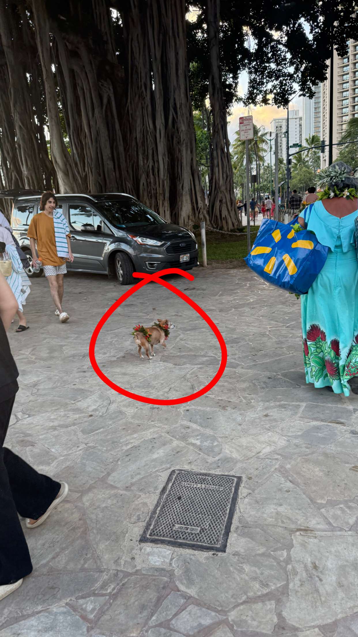 julia.filippo snapchat image archive image