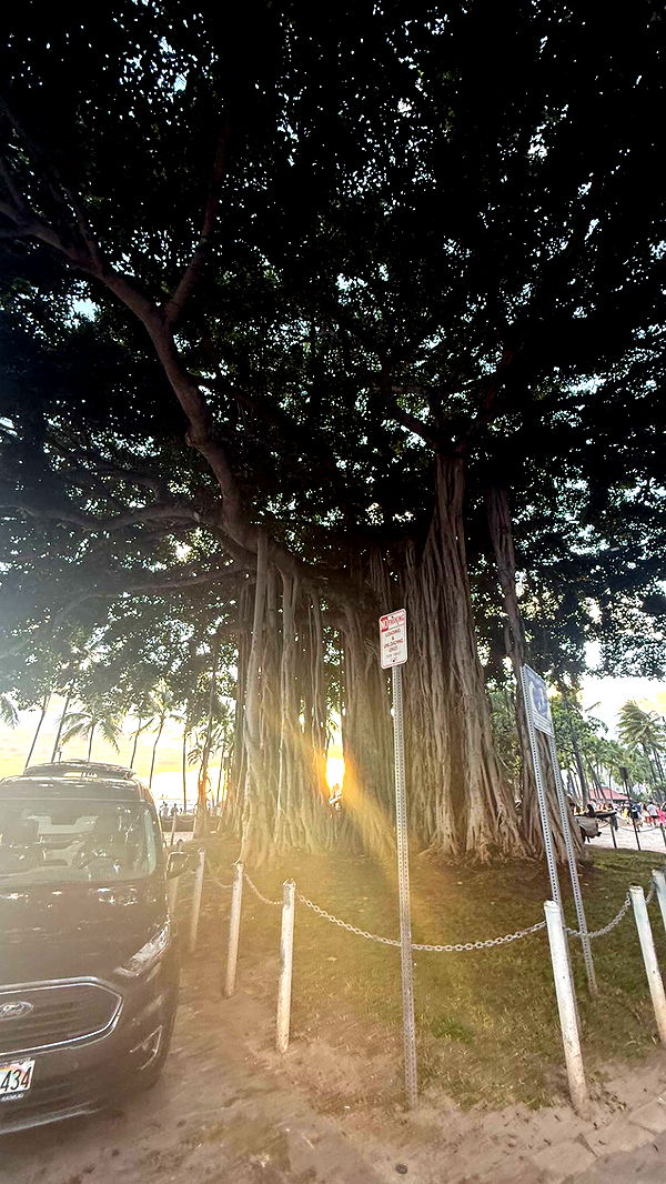 julia.filippo image ~ Altpins