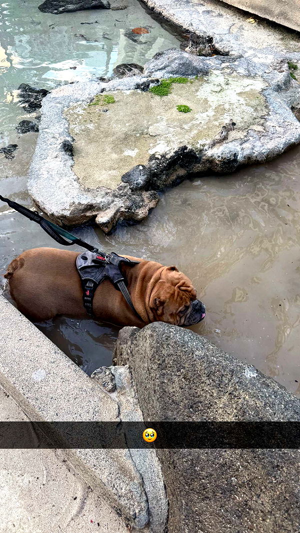 julia.filippo image ~ Altpins