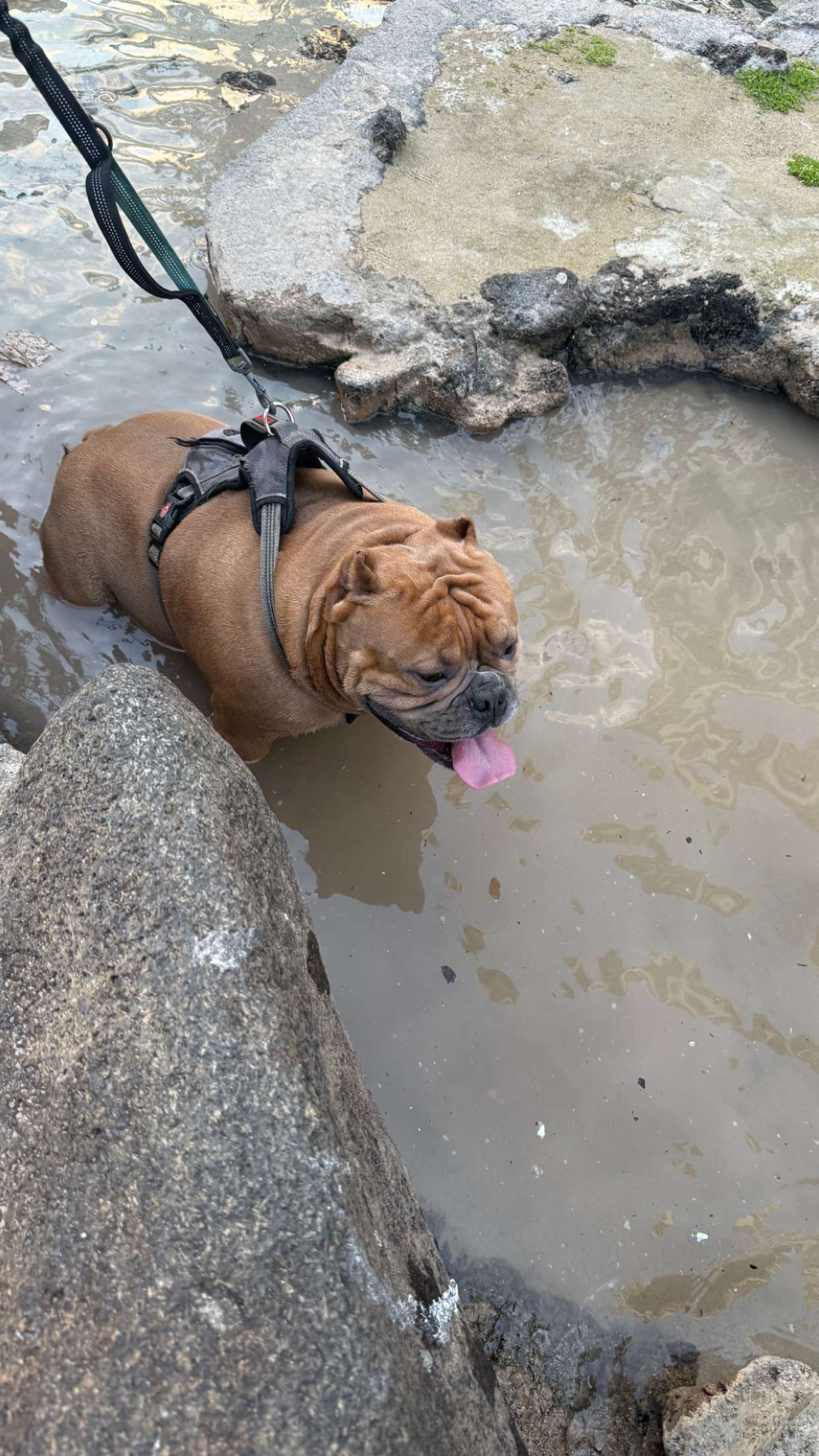 julia.filippo snapchat image archive image