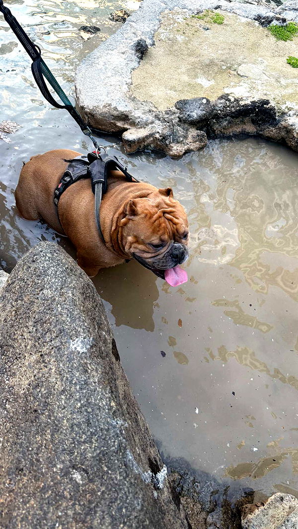 julia.filippo image ~ Altpins