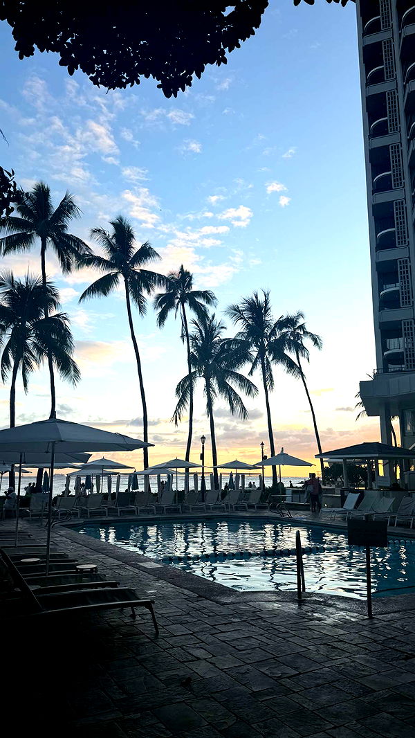 julia.filippo image ~ Altpins