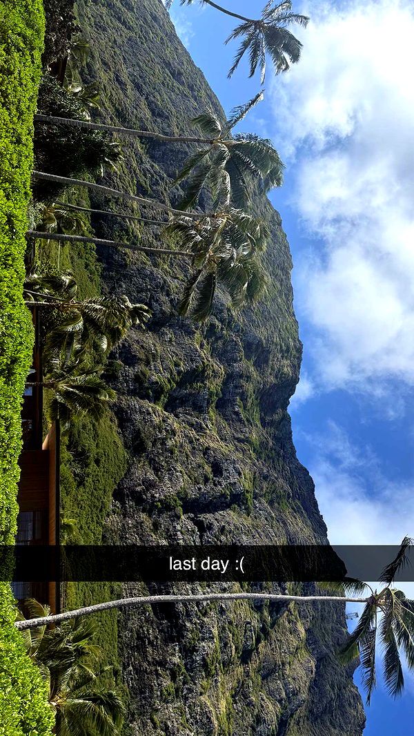 julia.filippo image ~ Altpins