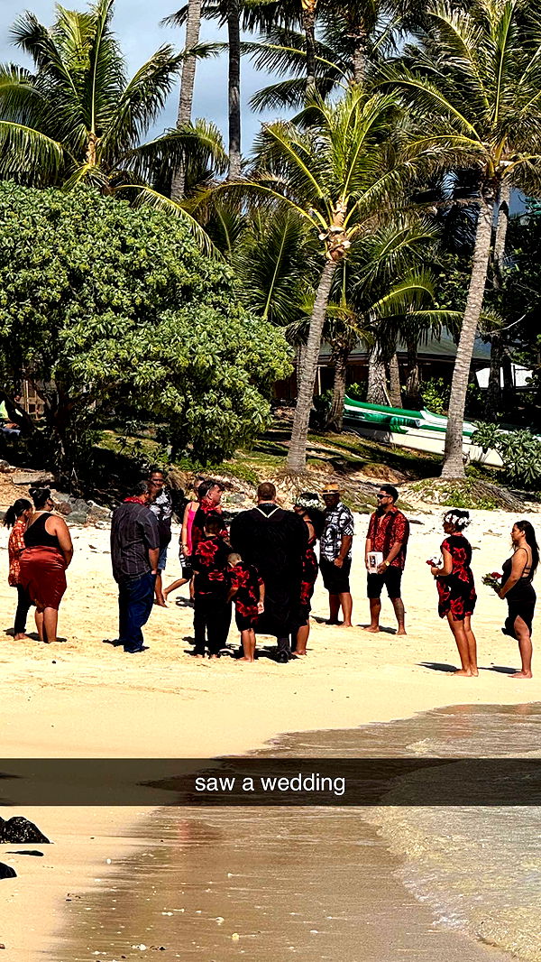 julia.filippo image ~ Altpins