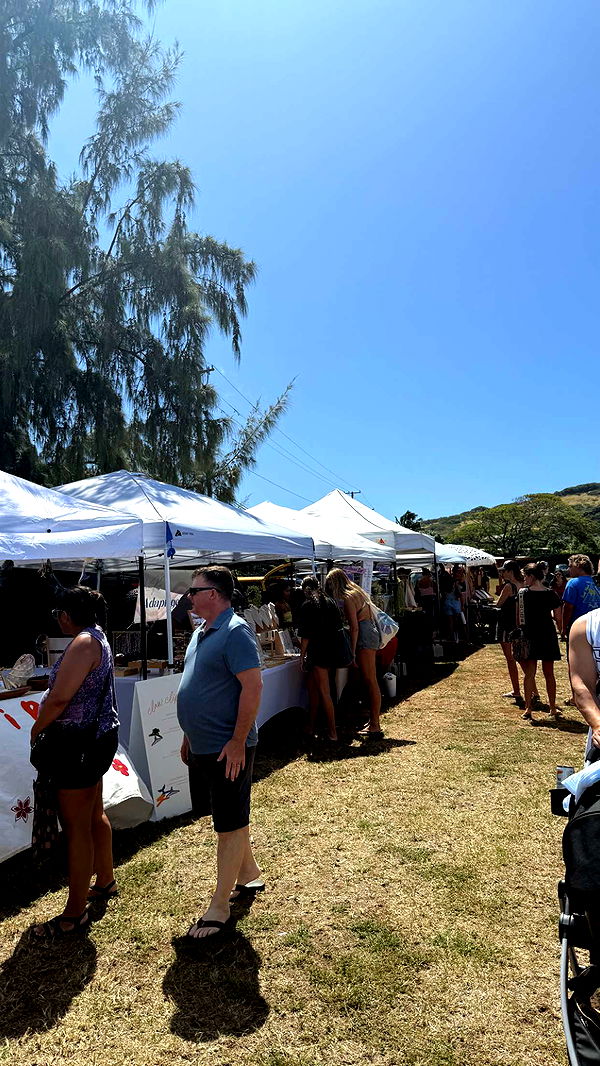 julia.filippo image ~ Altpins