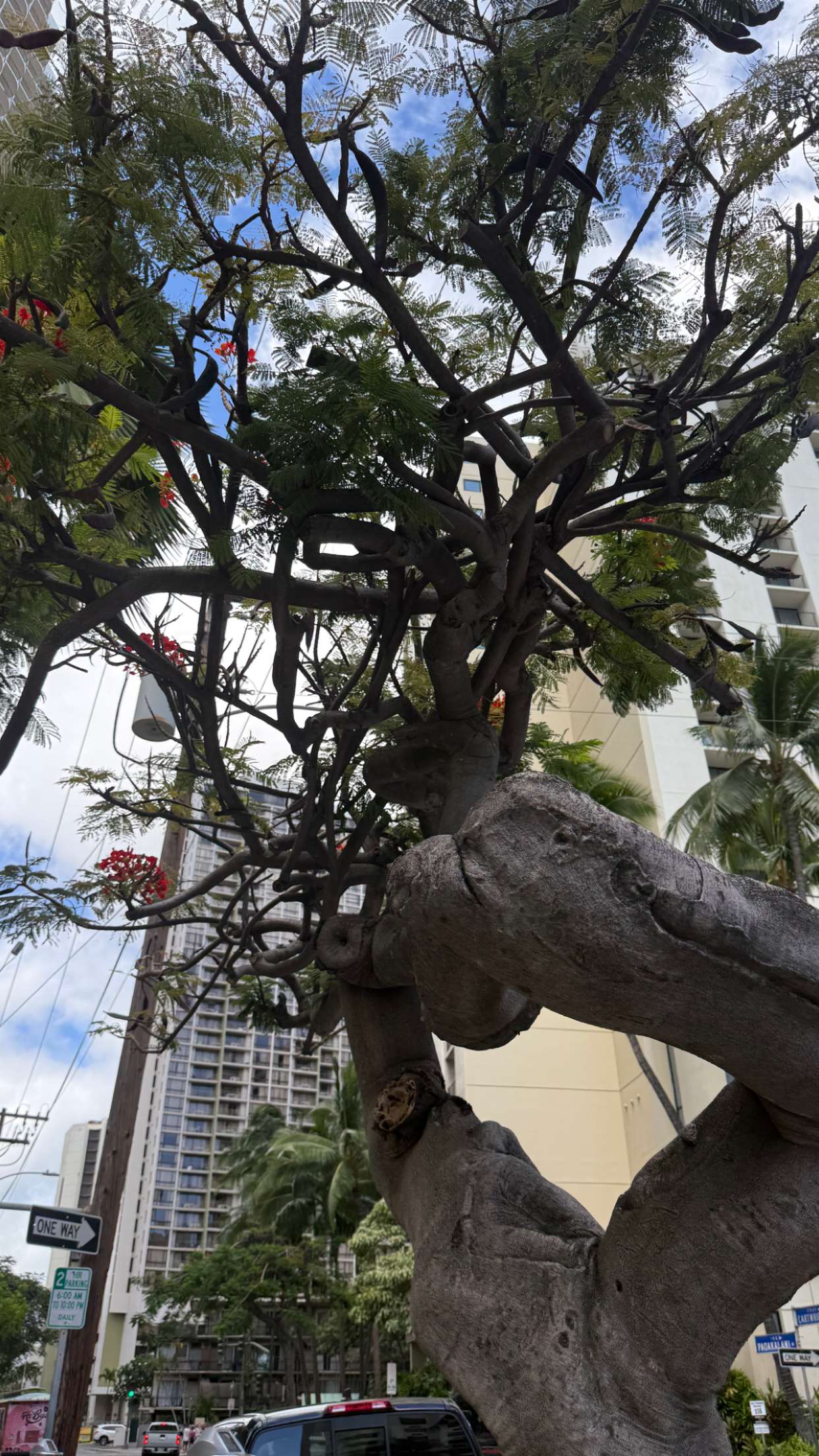 julia.filippo snapchat image archive image