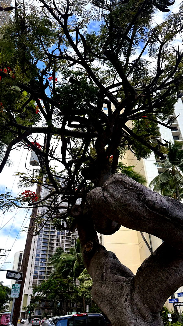 julia.filippo image ~ Altpins