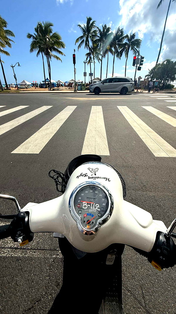 julia.filippo image ~ Altpins