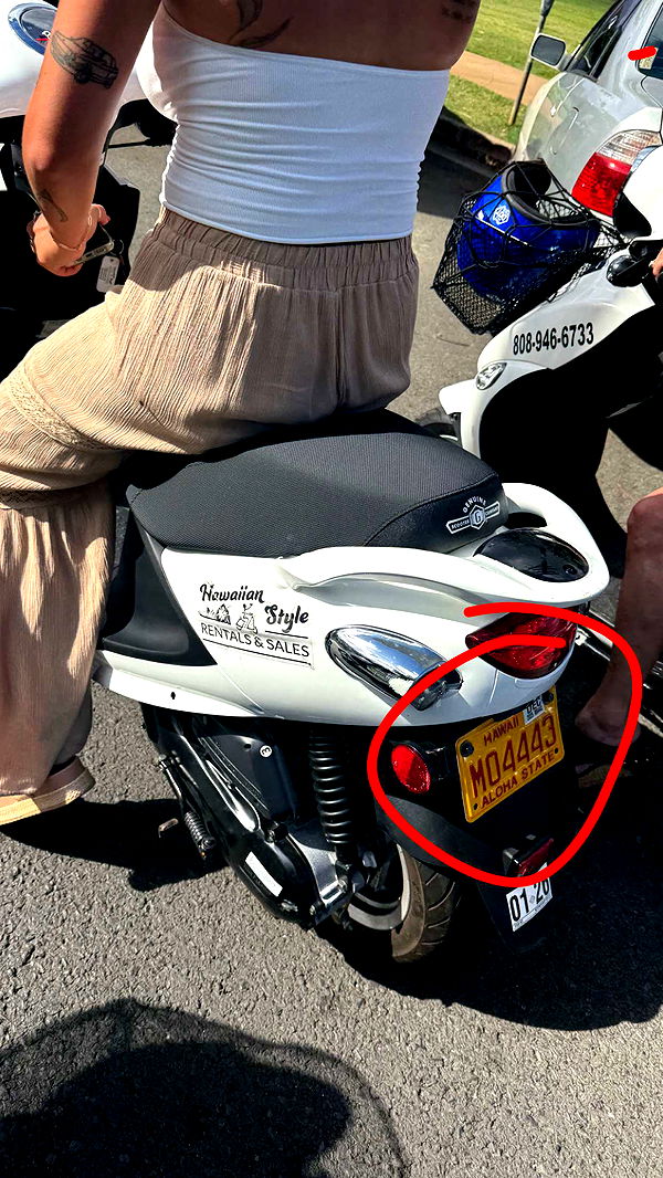 julia.filippo image ~ Altpins