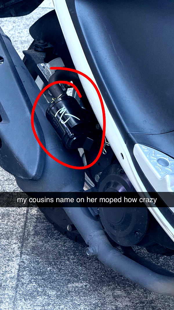 julia.filippo image ~ Altpins