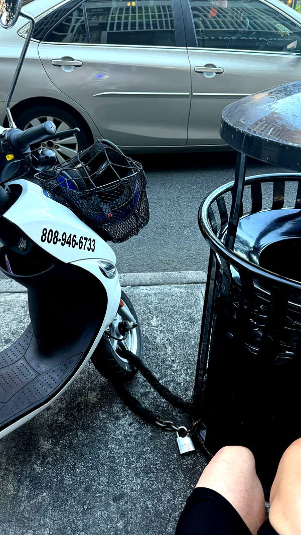 julia.filippo image ~ Altpins