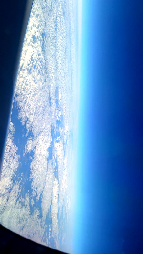 julia.filippo image ~ Altpins