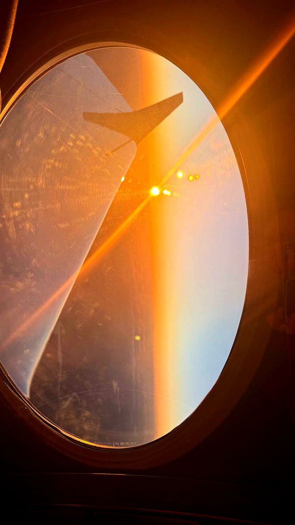 julia.filippo image ~ Altpins