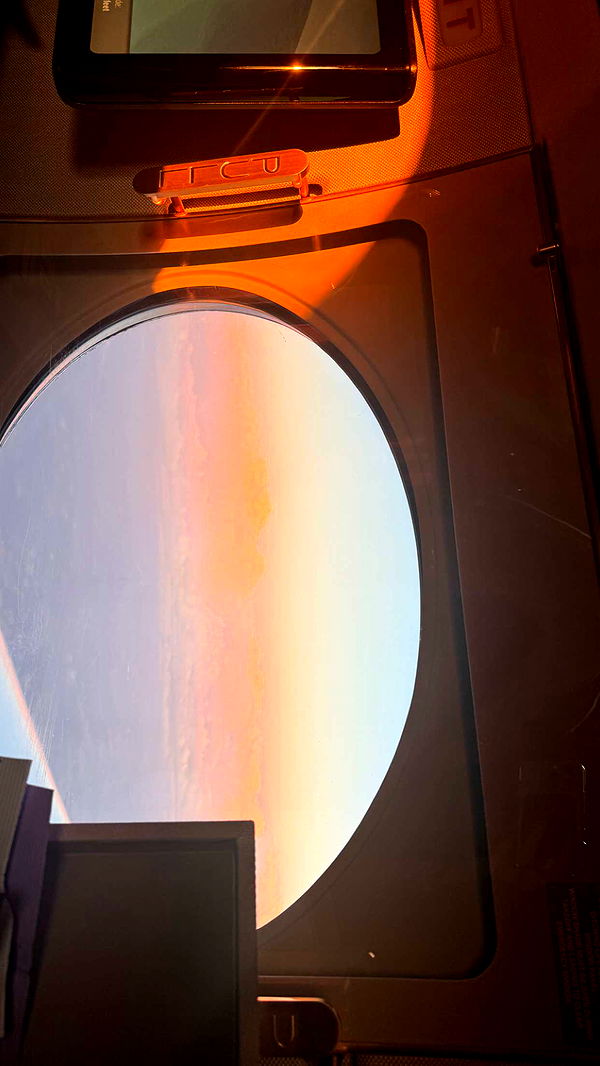 julia.filippo image ~ Altpins