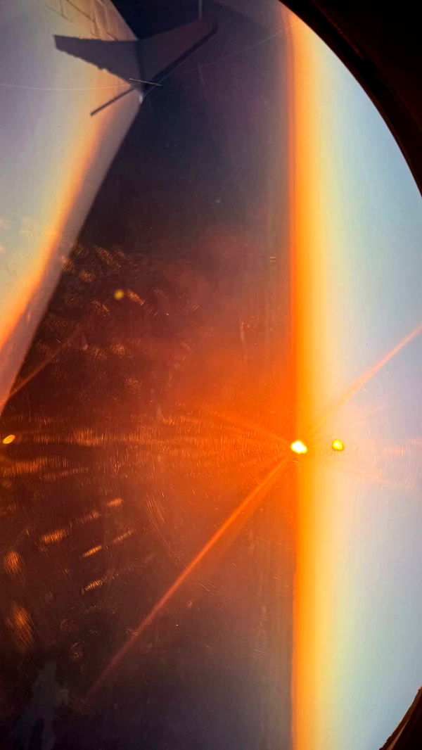 julia.filippo image ~ Altpins