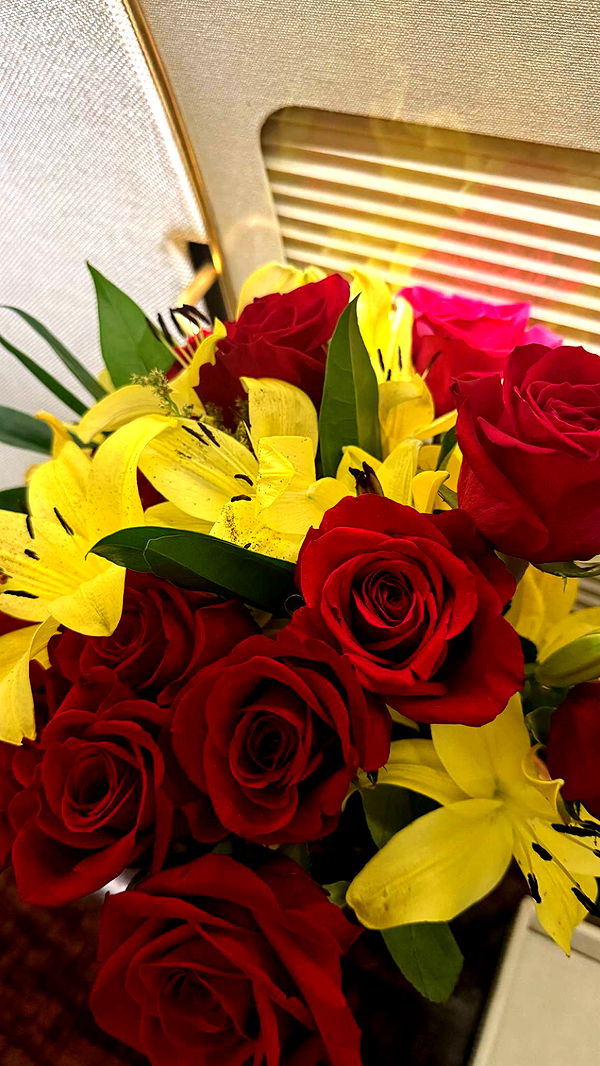 julia.filippo image ~ Altpins