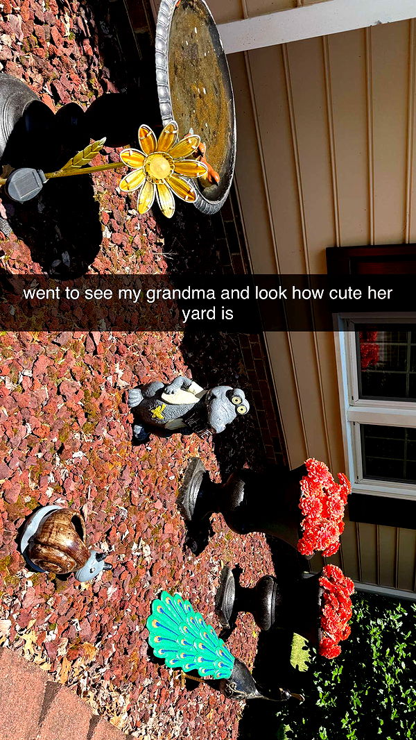 julia.filippo image ~ Altpins