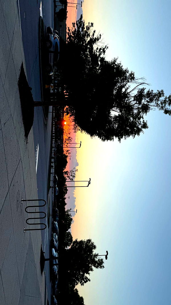 julia.filippo image ~ Altpins