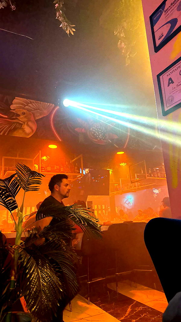 julia.filippo image ~ Altpins