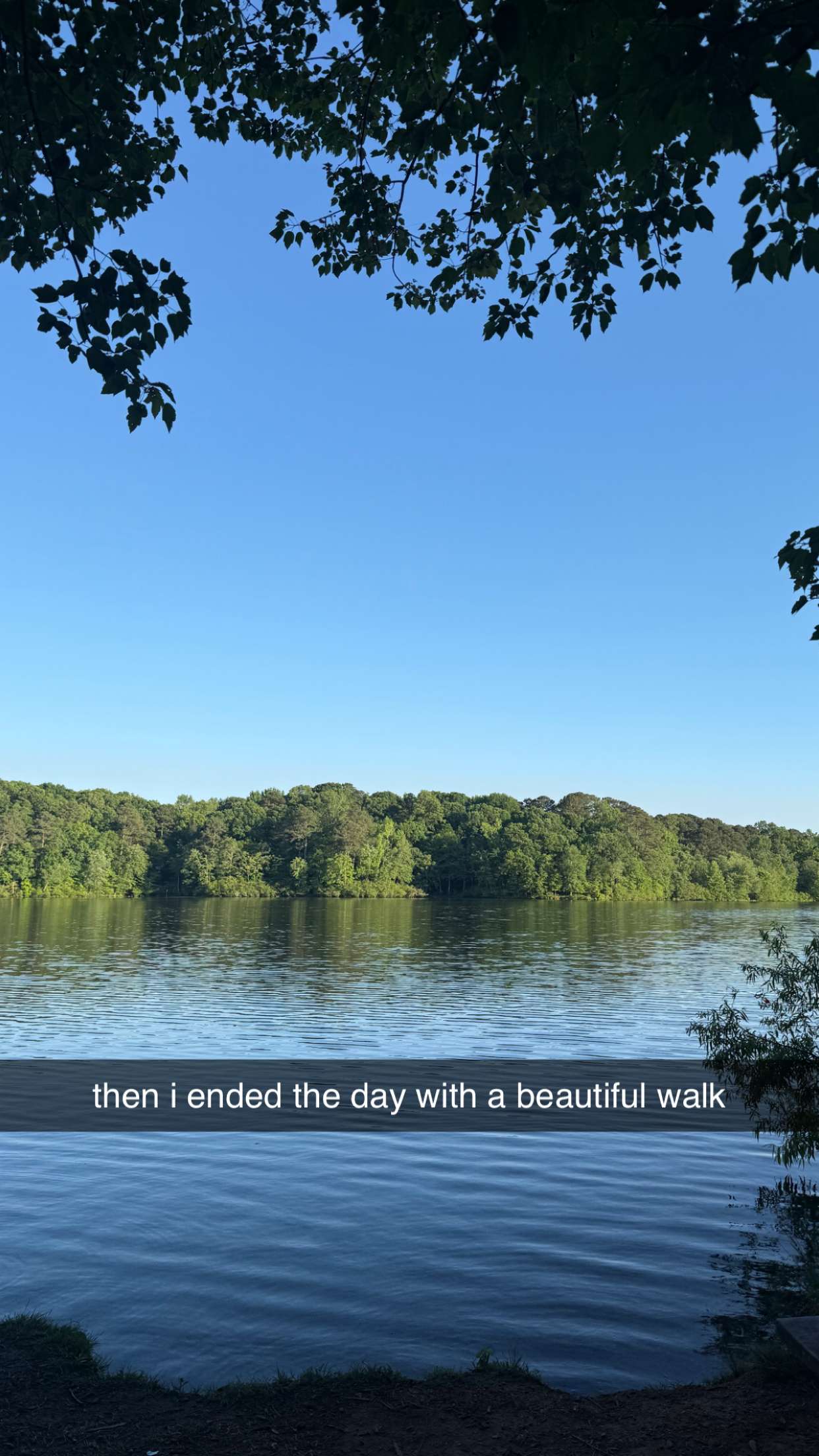 julia.filippo snapchat image archive image