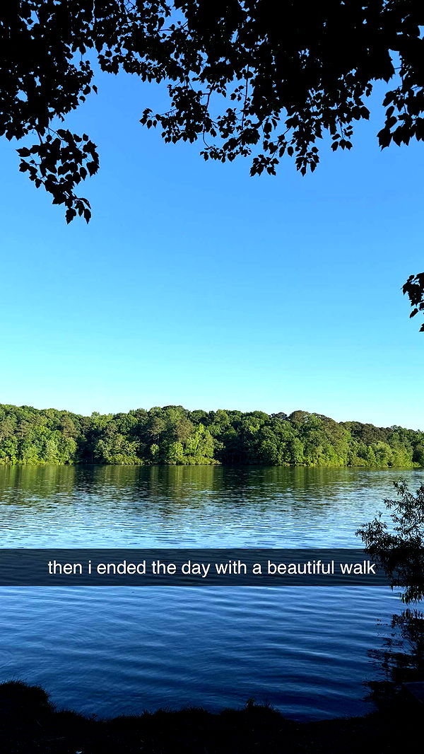 julia.filippo image ~ Altpins