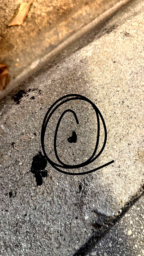 julia.filippo image ~ Altpins