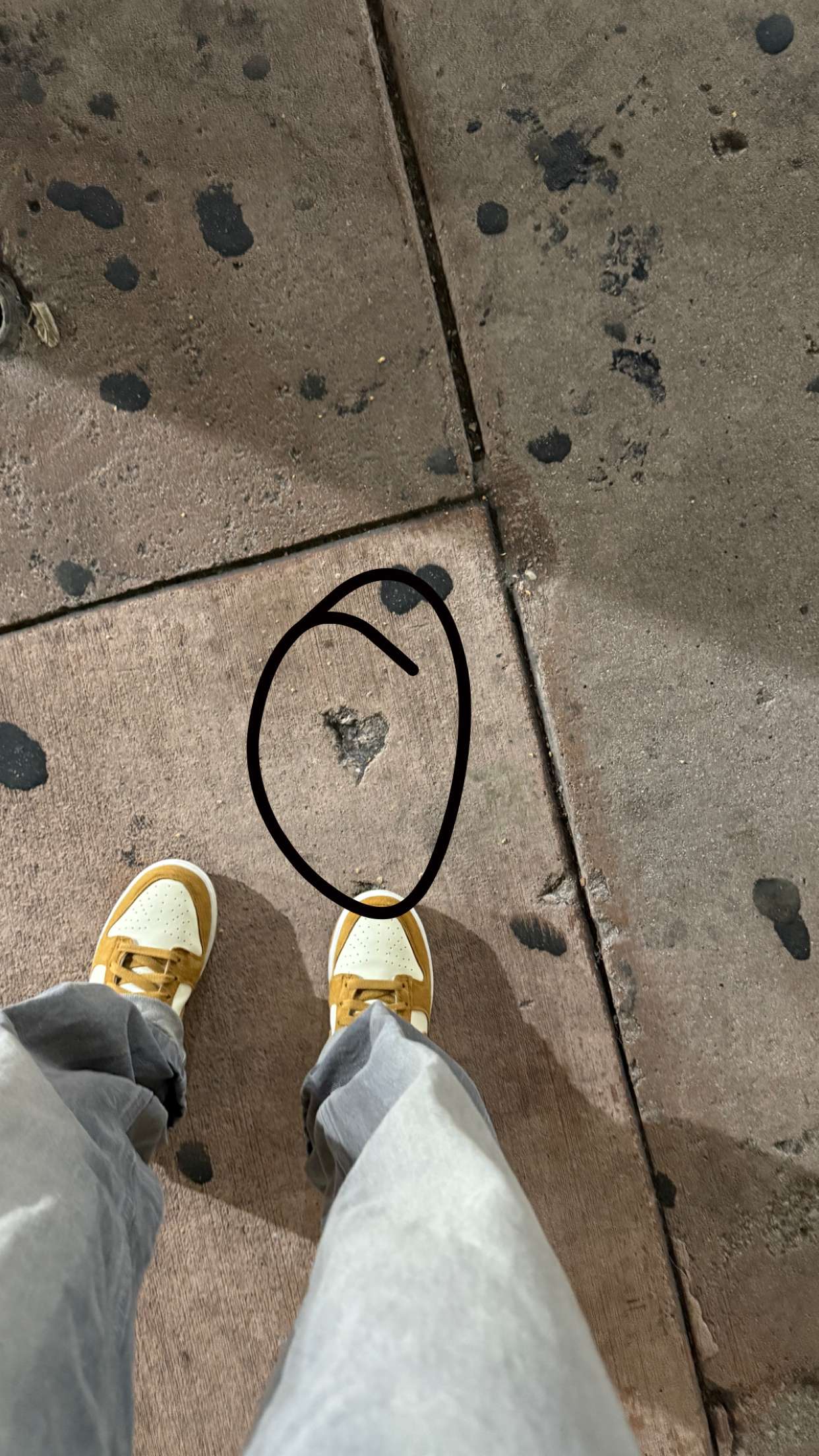 julia.filippo snapchat image archive image